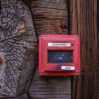 Reolo - Dystopi Delete i gruppen VI TIPSAR / Fredagsreleaser / 2025-10-10 hos Bengans Skivbutik AB (5639003)