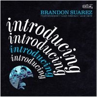 Brandon Suarez - Introducing i gruppen VI TIPSAR / Fredagsreleaser / 2025-09-19 hos Bengans Skivbutik AB (5639173)