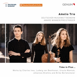 Amelio Trio - Time In Flux… i gruppen VI TIPSAR / Fredagsreleaser / 2025-10-03 hos Bengans Skivbutik AB (5639548)