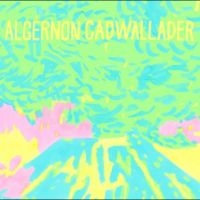 Algernon Cadwallader - Trying Not To Have A Thought (Opaqu i gruppen VI TIPSAR / Fredagsreleaser / 2025-09-12 hos Bengans Skivbutik AB (5639619)