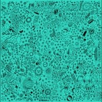 Donner Party - Donner Party i gruppen VI TIPSAR / Fredagsreleaser / 2025-09-19 hos Bengans Skivbutik AB (5639687)