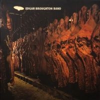 Broughton Edgar Band - The Edgar Broughton Band i gruppen VINYL / Pop-Rock hos Bengans Skivbutik AB (5639732)
