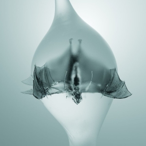 Unprocessed - Angel i gruppen VI TIPSAR / Fredagsreleaser / 2025-10-31 hos Bengans Skivbutik AB (5639935)