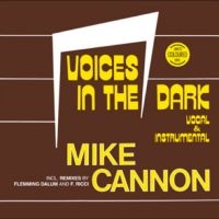 Mike Cannon - Voices In The Dark i gruppen VINYL / Pop-Rock hos Bengans Skivbutik AB (5640122)
