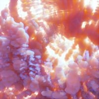 Lynyn - Ixona i gruppen VI TIPSAR / Fredagsreleaser / 2025-09-05 hos Bengans Skivbutik AB (5640186)