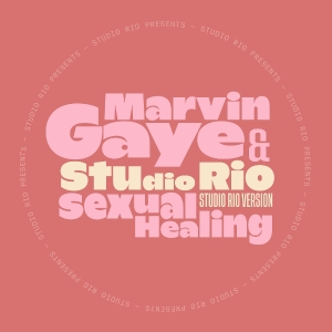 Marvin Gaye & Studio Rio - Sexual Healing i gruppen VI TIPSAR / Fredagsreleaser / 2025-10-31 hos Bengans Skivbutik AB (5640370)