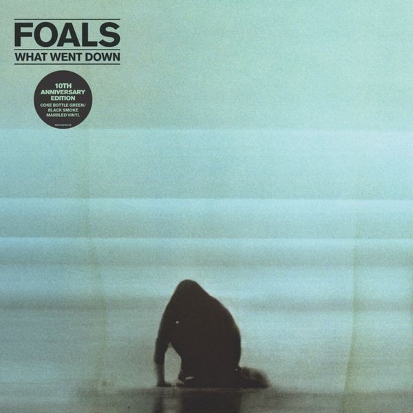 Foals - What Went Down (10Th Anniversary) i gruppen VINYL / Pop-Rock hos Bengans Skivbutik AB (5640565)