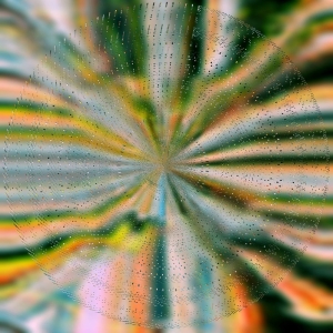 Hoffmann Nils - Everlight i gruppen VINYL / Kommande / Pop-Rock hos Bengans Skivbutik AB (5640698)