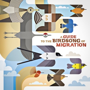 Various Artists - A Guide To The Birdsong Of Migratio i gruppen VI TIPSAR / Fredagsreleaser / 2025-11-14 hos Bengans Skivbutik AB (5640906)