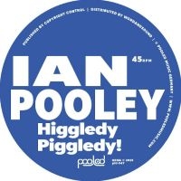 Ian Pooley - Higgledy Piggledy! i gruppen VINYL / Kommande hos Bengans Skivbutik AB (5640921)