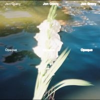 Jon Gravy - Opaque i gruppen VINYL / Toppsäljare hos Bengans Skivbutik AB (5640925)