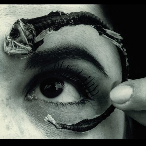 Mr. Bungle - Disco Volante (Ltd Blue 2Lp Rocktober) i gruppen VINYL / Pop-Rock hos Bengans Skivbutik AB (5641259)