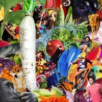 Jetski - The Radiant Radish i gruppen CD / Nyheter hos Bengans Skivbutik AB (5641543)