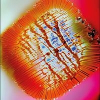 Mac Declos - Nothing Stands Still i gruppen VI TIPSAR / Fredagsreleaser / 2025-10-03 hos Bengans Skivbutik AB (5641579)