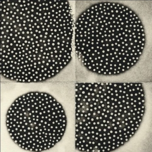 Leimer K. - Resting Forms i gruppen VI TIPSAR / Fredagsreleaser / 2025-09-19 hos Bengans Skivbutik AB (5642287)