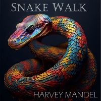 Harvey Mandel - Snake Walk i gruppen VI TIPSAR / Fredagsreleaser / 2025-10-10 hos Bengans Skivbutik AB (5642343)