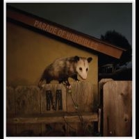 Parade Of Horribles - Nma i gruppen VI TIPSAR / Fredagsreleaser / 2025-10-10 hos Bengans Skivbutik AB (5642348)