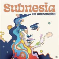 Subnesia - An Introduction i gruppen VINYL / Pop-Rock hos Bengans Skivbutik AB (5642547)