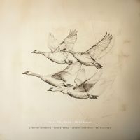 Josefine Cronholm Kirk Knuffke Mfl - Near The Pond: Wild Geese (180G.) i gruppen VINYL / Jazz hos Bengans Skivbutik AB (5643010)