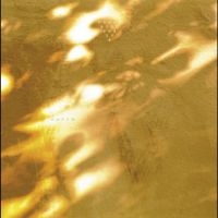 Svaneborg Kardyb - Haven i gruppen VI TIPSAR / Fredagsreleaser / 2025-10-10 hos Bengans Skivbutik AB (5643105)