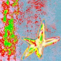 Lagoss / Babau - Splitting Hits For The Heat Damage i gruppen Pop-Rock hos Bengans Skivbutik AB (5643291)