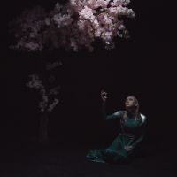 Daedric - As The Light Left i gruppen VI TIPSAR / Fredagsreleaser / 2025-10-24 hos Bengans Skivbutik AB (5643434)