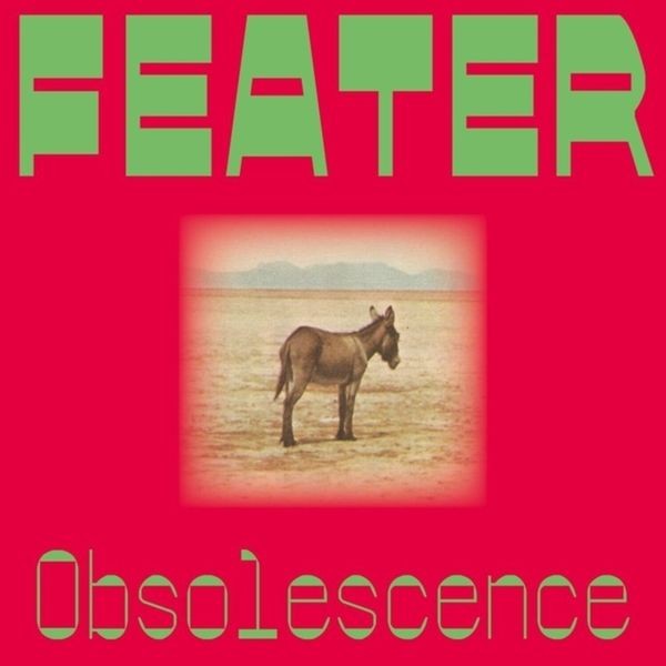 Feater - Obsolescence i gruppen VINYL / Jazz hos Bengans Skivbutik AB (5643487)