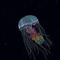 The Drowning World - Passive Margins i gruppen VINYL / Pop-Rock hos Bengans Skivbutik AB (5643494)