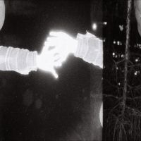 Silver Waves - Aninstar i gruppen VI TIPSAR / Fredagsreleaser / 2025-10-17 hos Bengans Skivbutik AB (5643507)