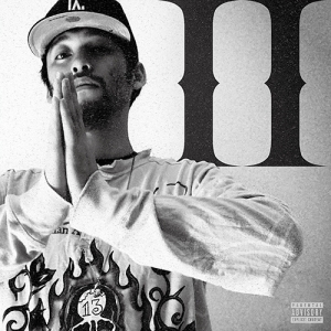 Aiwabeatz - Like No Other Ii i gruppen VINYL / J-Pop hos Bengans Skivbutik AB (5643903)