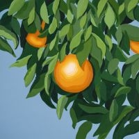 Tyler Ballgame - For The First Time Again (Orange Ma i gruppen VINYL / Kommande / Pop-Rock hos Bengans Skivbutik AB (5644251)