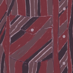 Fussell Jake Xerxes - Rebuilding i gruppen VI TIPSAR / Fredagsreleaser / 2025-12-05 hos Bengans Skivbutik AB (5644283)