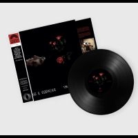 The Felt Tips - Living & Growing i gruppen VI TIPSAR / Fredagsreleaser / 2025-10-17 hos Bengans Skivbutik AB (5644324)