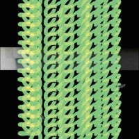 Daphni - Jiaolong i gruppen VI TIPSAR / Fredagsreleaser / 2025-10-24 hos Bengans Skivbutik AB (5644328)