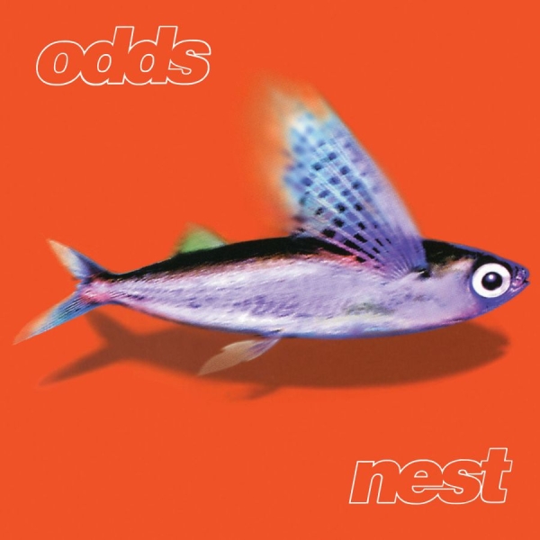 Odds - Nest i gruppen VI TIPSAR / Fredagsreleaser / 2025-11-21 hos Bengans Skivbutik AB (5644339)