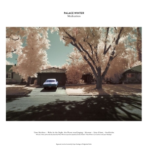 Palace Winter - Medication i gruppen VINYL / Pop-Rock hos Bengans Skivbutik AB (5644678)