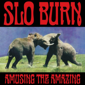 Slo Burn - Amusing The Amazing (Etcing Side B)  Rsd Bf i gruppen VI TIPSAR / Fredagsreleaser / 2025-11-28 hos Bengans Skivbutik AB (5645088)