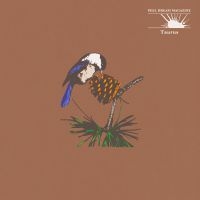 Peel Dream Magazine - Taurus (Yellow Tinted Transparent C i gruppen Nyheter / Pop-Rock hos Bengans Skivbutik AB (5645247)