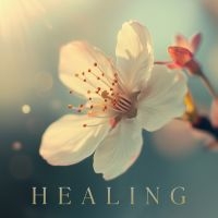 Various Artists - Healing i gruppen VI TIPSAR / Fredagsreleaser / 2025-11-07 hos Bengans Skivbutik AB (5645283)