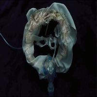 Ship Sket - Initiatrix i gruppen VI TIPSAR / Fredagsreleaser / 2025-10-31 hos Bengans Skivbutik AB (5645569)