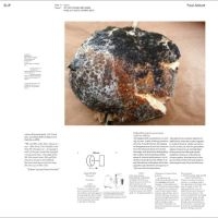 Paul Abbott - Slip i gruppen VINYL / Pop-Rock hos Bengans Skivbutik AB (5645571)