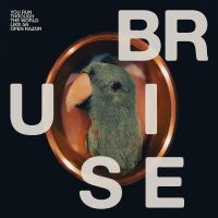 Bruise Blood - You Run Through The World Like An O i gruppen VI TIPSAR / Fredagsreleaser / 2025-10-31 hos Bengans Skivbutik AB (5645578)