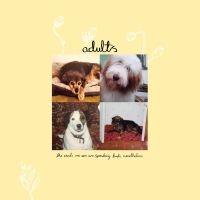 Adults - The Seeds We Sow Are Sprouting Buds i gruppen VI TIPSAR / Fredagsreleaser / 2025-10-31 hos Bengans Skivbutik AB (5645583)