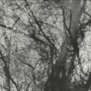 Grouper - Way Their Crept i gruppen VI TIPSAR / Fredagsreleaser / 2025-11-21 hos Bengans Skivbutik AB (5645864)