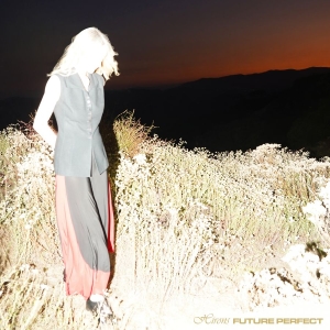 Hirons - Future Perfect i gruppen VI TIPSAR / Fredagsreleaser / 2025-11-07 hos Bengans Skivbutik AB (5646871)