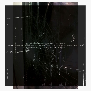 Sanguis - Wounding i gruppen VI TIPSAR / Fredagsreleaser / 2025-11-07 hos Bengans Skivbutik AB (5646886)