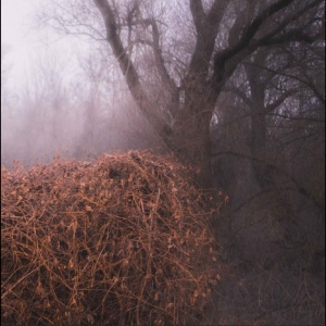 The Devil?S Trade - Nincs Szennyezetlen Szép i gruppen VI TIPSAR / Fredagsreleaser / 2025-11-07 hos Bengans Skivbutik AB (5646918)