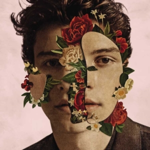 Shawn Mendes - Shawn Mendes i gruppen ÖVRIGT / -Start Uni-CD hos Bengans Skivbutik AB (5647182)