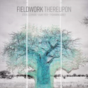 Fieldwork - Thereupon i gruppen CD / Jazz hos Bengans Skivbutik AB (5647424)