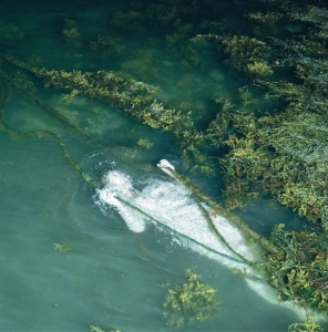 Pietu Arvola - Meidän Täytyy Valvoa Jottemme Nukku i gruppen VI TIPSAR / Fredagsreleaser / 2025-11-07 hos Bengans Skivbutik AB (5647532)